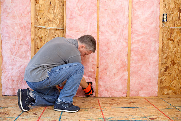 Best DIY Insulation Kits and Guidance in Dawson, TX